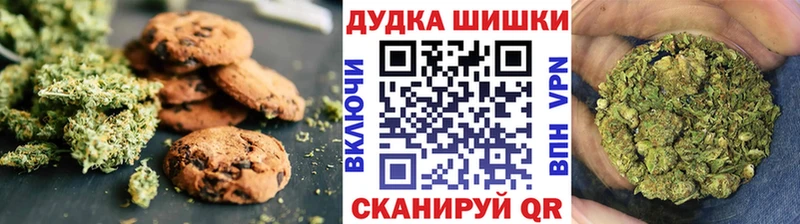 где можно купить   Облучье  Canna-Cookies конопля 