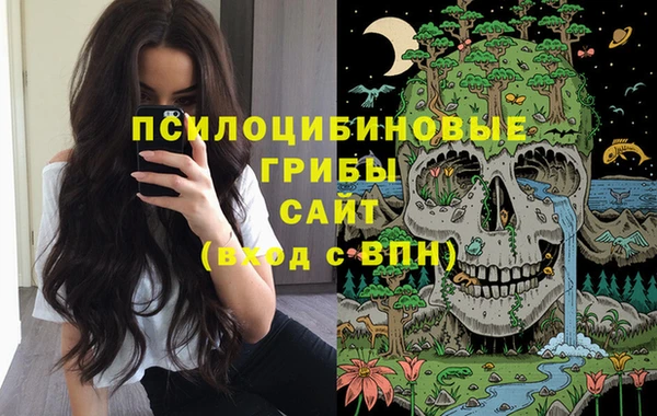 спиды Белокуриха