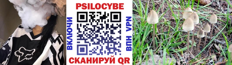 Галлюциногенные грибы прущие грибы  Облучье 